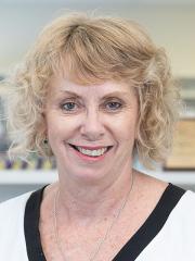 Dr Suzanne Elliot