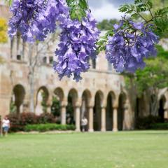 UQ